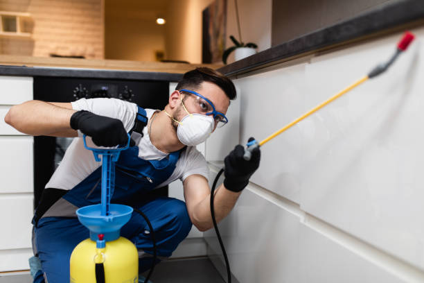 Best Exterminator Services  in Blountsville, AL