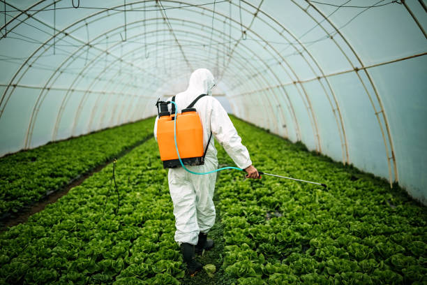 Best Best Pest Control Companies  in Blountsville, AL