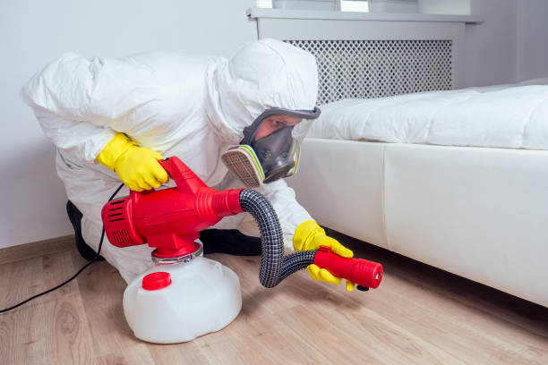 Best Pest Removal Services  in Blountsville, AL
