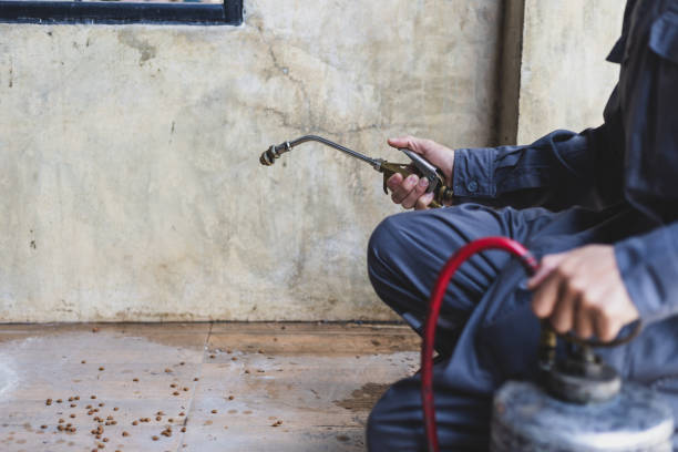 Best Pest Prevention Services  in Blountsville, AL