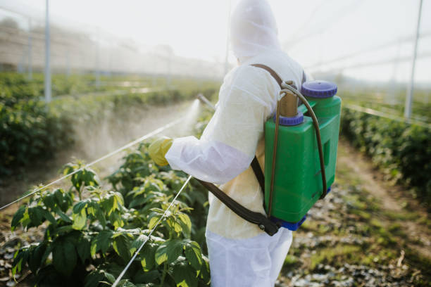 Best Bed Bug Extermination  in Blountsville, AL
